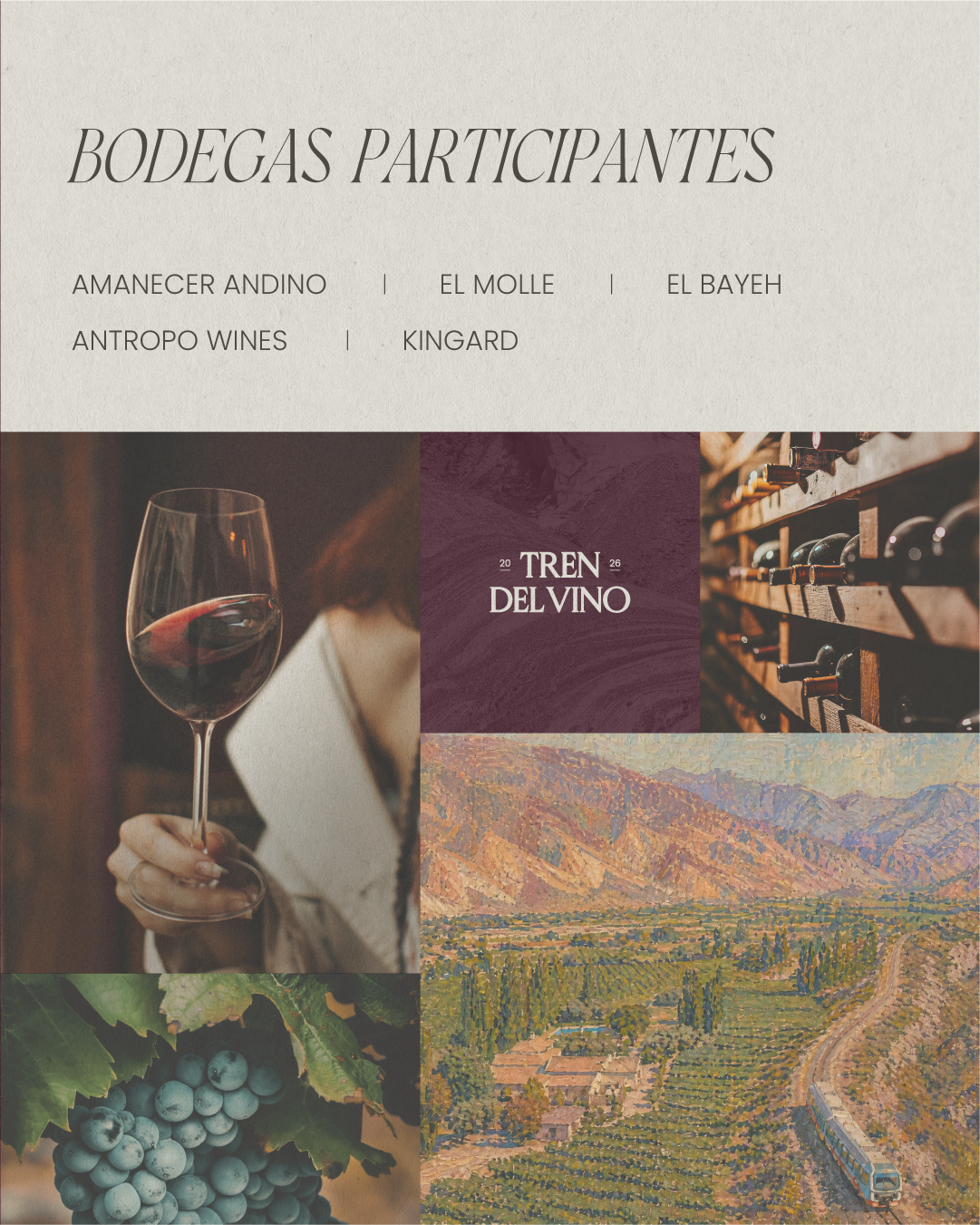 PLACA TREN DEL VINO C-3