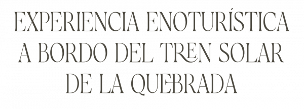 BANNER V TREN DEL VINO 02-01